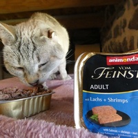 photo de livraison pour Jardin des Chats