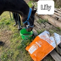 photo de livraison pour La Retraite des Chevaux des Causses