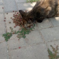 photo de livraison pour Hajar Aourz