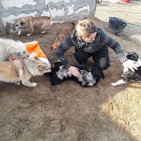 photo de livraison pour Mariuta