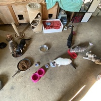 photo de livraison pour L'Arche de Ploum