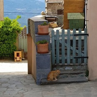 photo de livraison pour Un Nid, à Toi(t)