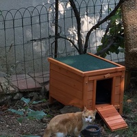 photo de livraison pour Cosette