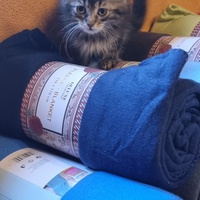 photo de livraison pour Amis de Myrtille