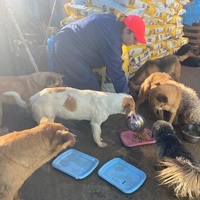 photo de livraison pour ADAN TETOUAN