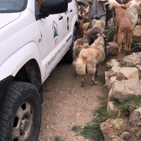 photo de livraison pour Sanctuaire de la Faune de Tanger (SFT)