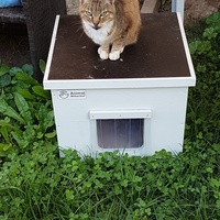 photo de livraison pour Un Ronron d'Espoir 33