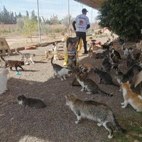 photo de livraison pour L'Arche de Noé