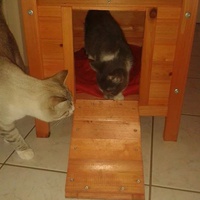 photo de livraison pour Ecole du Chat d’Arbois