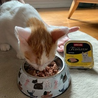 photo de livraison pour Cosa Animalia