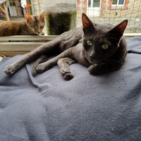 photo de livraison pour Rohini et Compagnie