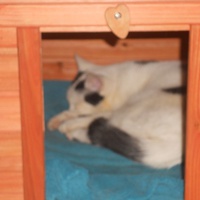photo de livraison pour Graine Vagabonde