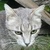 photo animal