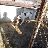 photo de livraison pour Depend on Us - Asociatia Depind de Noi