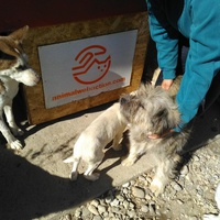 photo de livraison pour Alina & Anda