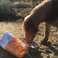 photo de livraison pour Equi-Vivre