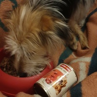 photo de livraison pour AVRAH