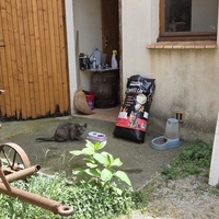 photo de livraison pour Bien vivre avec les Chats Sallélois