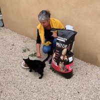 photo de livraison pour Ecole du Chat des Alpilles