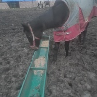 photo de livraison pour HELP