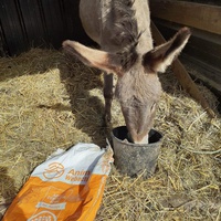 photo de livraison pour Espoir au Galop