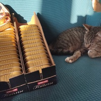 photo de livraison pour Hope14