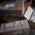 photo animal