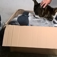 photo de livraison pour La Tribu de LOLA