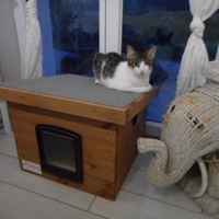 photo de livraison pour La Tribu de LOLA
