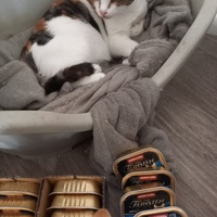 photo de livraison pour Les Pattounes de l'Espoir