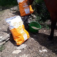 photo de livraison pour Association hippique du Caroux