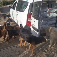 photo de livraison pour Sanctuaire de la Faune de Tanger (SFT)