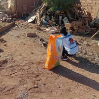 photo de livraison pour L'Arche de Noé