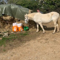 photo de livraison pour Association hippique du Caroux