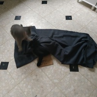 photo de livraison pour Chamaya