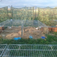 photo de livraison pour La Ferme de Doudou
