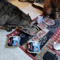 photo de livraison pour Au Bonheur des Animaux