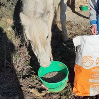 photo de livraison pour Association hippique du Caroux