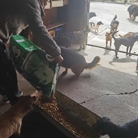 photo de livraison pour ПРИХВАТИЛИШТЕ ДРАЖЕВАЦ