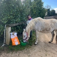 photo de livraison pour La Retraite des Chevaux des Causses