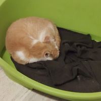 photo de livraison pour L'Arche de Maddy