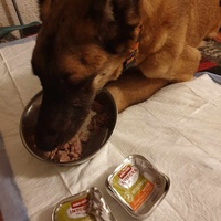 photo de livraison pour AVRAH