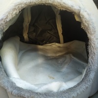 photo de livraison pour ANIMAL ATTITUDE