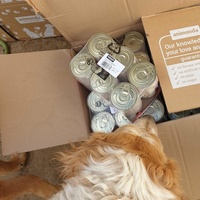 photo de livraison pour AVRAH