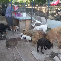 photo de livraison pour Animal World Struga