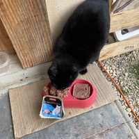 photo de livraison pour Cosette