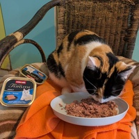 photo de livraison pour CAPPA