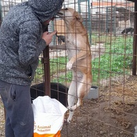 photo de livraison pour Innocente