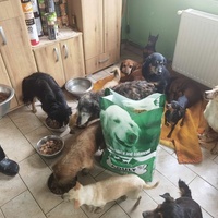 photo de livraison pour ПРИХВАТИЛИШТЕ ДРАЖЕВАЦ