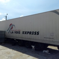 photo de livraison pour Le Coeur sur la Patte